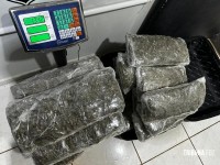 Receita Federal apreende mais de 45 Kg de drogas, em ônibus na BR-277 em São Miguel do Iguaçu