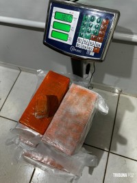 Receita Federal apreende mais de 45 Kg de drogas, em ônibus na BR-277 em São Miguel do Iguaçu