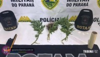 Ação da ROTAM apreende pés de maconha e radiocomunicador no em Medianeira