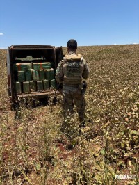 Policia Federal 930 Kg de maconha em Santa Helena