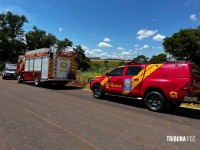 Corpo é encontrado enterrado em área de mata no Jardim Universitário em Foz do Iguaçu