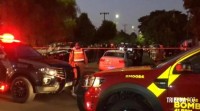 Confrontos com forças de segurança no PR em 2024 deixam 413 mortos, aponta Ministério Público
