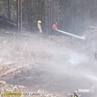 Defesa Civil e Corpo de Bombeiros contêm princípio de incêndio em distrito de Santa Helena