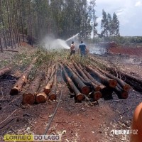 Defesa Civil e Corpo de Bombeiros contêm princípio de incêndio em distrito de Santa Helena