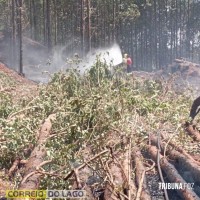Defesa Civil e Corpo de Bombeiros contêm princípio de incêndio em distrito de Santa Helena