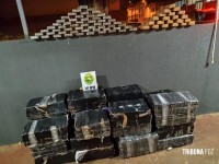 PM apreende 695,44 Kg de maconha na Favela da Sadia