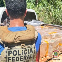 Policia Federal apreende 1 tonelada de maconha em Santa Helena