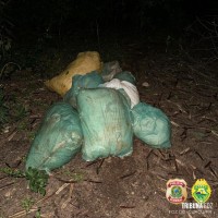 BPFRON e PF apreendem 97,3 Kg de maconha tipo capulho no porto clandestino do Monsenhor em Foz do Iguaçu