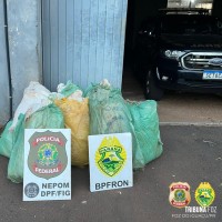 BPFRON e PF apreendem 97,3 Kg de maconha tipo capulho no porto clandestino do Monsenhor em Foz do Iguaçu