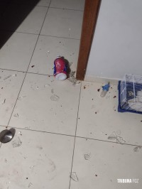 Guarda Municipal conduz briguentos do Jardim São Paulo para a delegacia