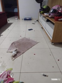 Guarda Municipal conduz briguentos do Jardim São Paulo para a delegacia