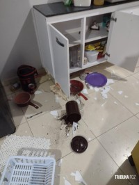 Guarda Municipal conduz briguentos do Jardim São Paulo para a delegacia
