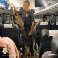 Policia Federal prende passageiro com haxixe e anabolizantes em ônibus intermunicipal