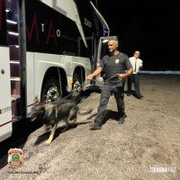 Policia Federal prende passageiro com haxixe e anabolizantes em ônibus intermunicipal