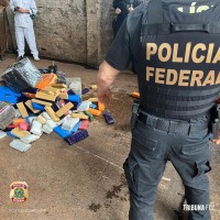 PF realiza operação para destruição de mais de 4,5 toneladas de entorpecentes