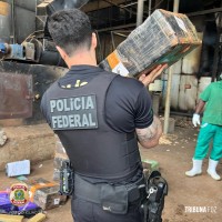PF realiza operação para destruição de mais de 4,5 toneladas de entorpecentes