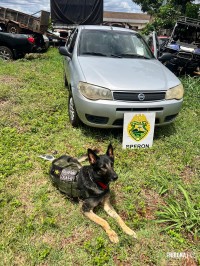 BPFRON apreende veículo com placas adulteradas em Marechal Cândido Rondon