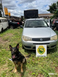 BPFRON apreende veículo com placas adulteradas em Marechal Cândido Rondon