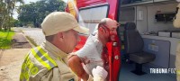 Após bebedeira entre amigos termina com golpe de facão no Jardim Eliza