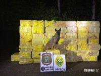 NEPOM e BPFRON apreendem 5 mil pacotes de cigarro em Itaipulândia