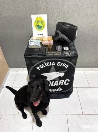 PM cumpre mandado em residência e localiza arma de fogo em Santa Terezinha de Itaipu