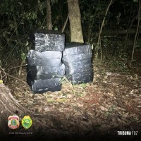 Policia Federal e BPFRON apreendem 80 caixas de cigarros contrabandeados em Itaipulândia