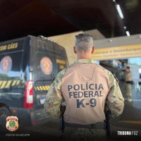 Policia Federal apreende menor de idade com 10 tabletes de maconha na Rodoviária de Foz do Iguaçu