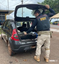 PRF apreende 175 quilos de maconha em área rural de Santa Terezinha de Itaipu