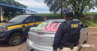 PRF realiza a maior apreensão de ecstasy em rodovias federais em Céu Azul