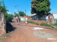 Bombeiros interveem em incêndio a residência no Porto Meira