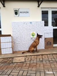 PM apreendem dois veículos com 800 pacotes de cigarros após perseguição policial em Barracão