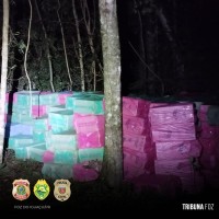 Policia Federal e forças estaduais apreendem 367 caixas de cigarros contrabandeados em Itaipulândia