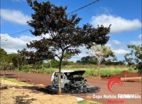 Veículo furtado de motorista de aplicativo é encontrado incendiado no Jardim das Oliveiras 