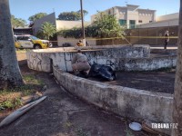 Mulher é morta a pauladas defronte ao Ginásio Costa Cavalcanti em Foz do Iguaçu