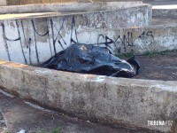 Mulher é morta a pauladas defronte ao Ginásio Costa Cavalcanti em Foz do Iguaçu