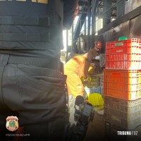Policia Federal realiza incineração de mais de 8 toneladas de drogas na região da tríplice fronteira