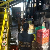Policia Federal realiza incineração de mais de 8 toneladas de drogas na região da tríplice fronteira