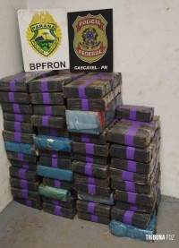 BPFRON e Policia Federal apreendem veículo com 497,4 Kg de drogas em Diamante do Oeste