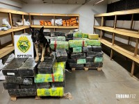 BPFRON apreende 3.392,3 Kg de drogas em Santa Helena