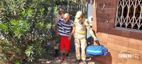 Siate atende vítima de agressão no Porto Meira