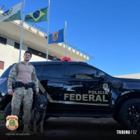 Policia Federal recebe novas viaturas adaptadas para os cães farejadores policiais