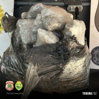 PF e PM apreendem 11 Kg de maconha tipo capulho nas margens do Rio Paraná