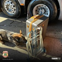 Policia Federal prende passageira com haxixe na Rodoviária Internacional de Foz do Iguaçu