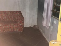 Pitbull invade residência e ataca cachorro de pequeno porte no Bairro Porto Belo 
