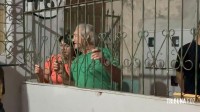 Pitbull invade residência e ataca cachorro de pequeno porte no Bairro Porto Belo 