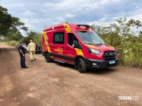Servidora da Guarda Municipal fica ferida após bater veículo contra árvore na área rural de Foz do Iguaçu