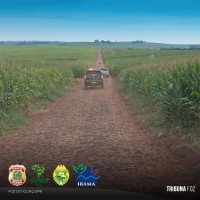 PF, IBAMA, ICMBIO E PM deflagram operação de repressão aos crimes ambientais na fronteira com a Argentina