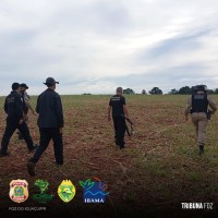PF, IBAMA, ICMBIO E PM deflagram operação de repressão aos crimes ambientais na fronteira com a Argentina