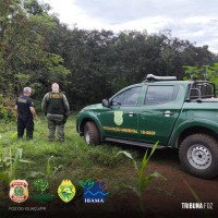 PF, IBAMA, ICMBIO E PM deflagram operação de repressão aos crimes ambientais na fronteira com a Argentina