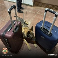 Policia Federal apreende menor com entorpecentes na Rodoviária Internacional de Foz do Iguaçu
